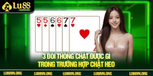 3 Đôi Thông Chặt Được Gì? Chiến Thuật Đầu Tư Hiệu Quả 2025