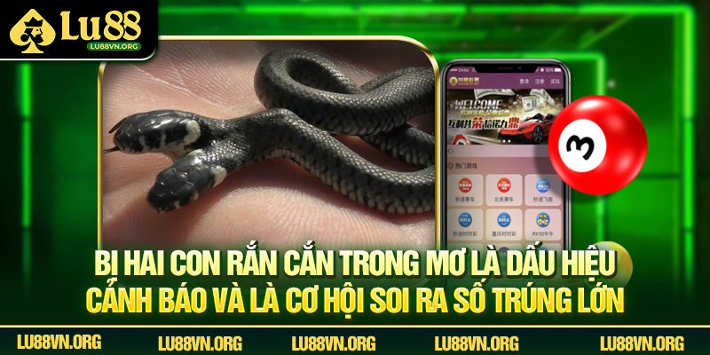 Bị hai con rắn cắn trong mơ là dấu hiệu cảnh báo và là cơ hội soi ra số trúng lớn.