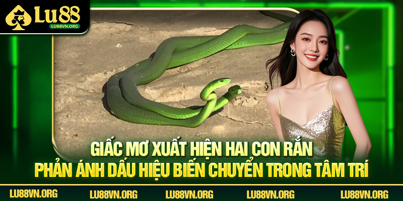 Giấc mơ xuất hiện hai con rắn phản ánh dấu hiệu biến chuyển trong tâm trí.