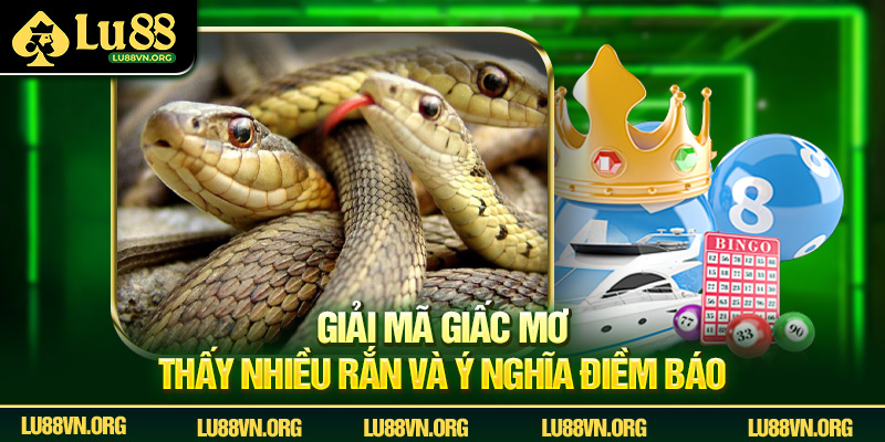 Giải mã giấc mơ thấy nhiều rắn và ý nghĩa điềm báo.