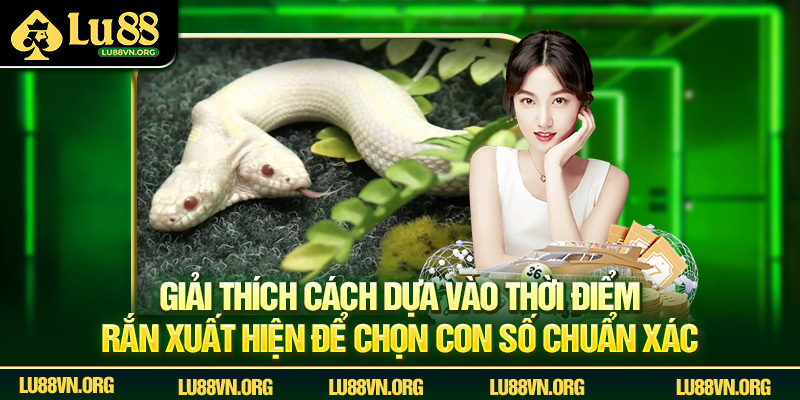 Giải thích cách dựa vào thời điểm rắn xuất hiện để chọn con số chuẩn xác.