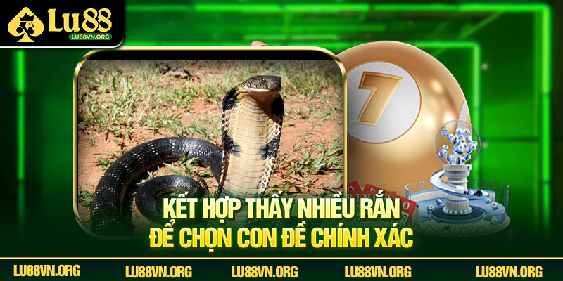 Kết hợp thấy nhiều rắn để chọn con đề chính xác.