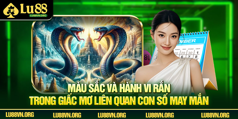 Màu sắc và hành vi rắn trong giấc mơ liên quan con số may mắn.