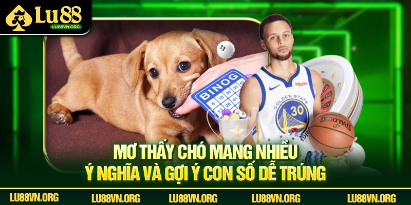 Mơ thấy chó mang nhiều ý nghĩa và gợi ý con số dễ trúng.