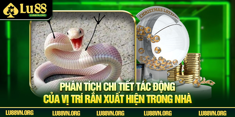 Phân tích chi tiết tác động của vị trí rắn xuất hiện trong nhà.