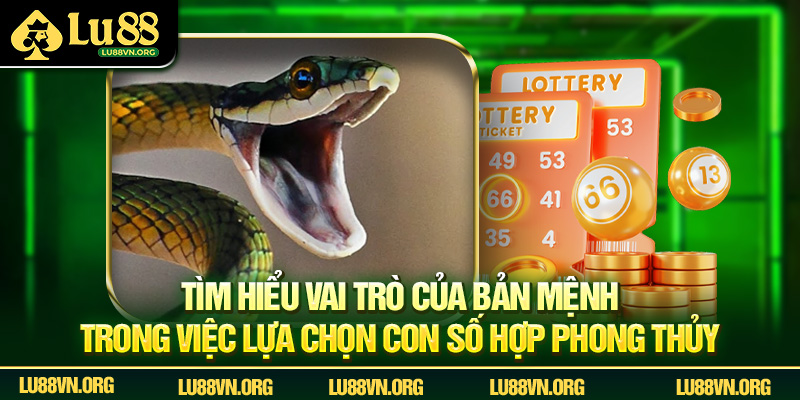 Tìm hiểu vai trò của bản mệnh trong việc lựa chọn con số hợp phong thủy.